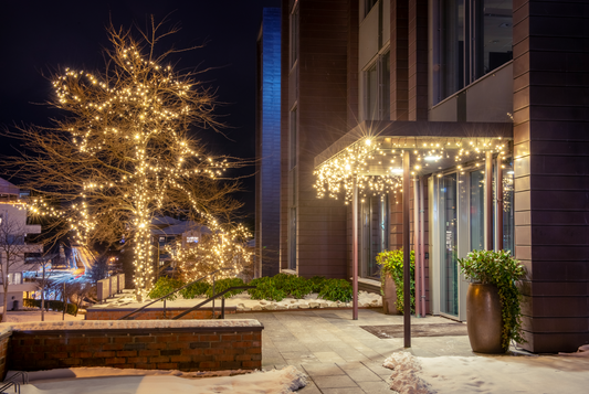 10 Tips for Decorating with Christmas Lights - Santa's Light Shop